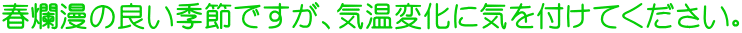コエンザイムQ10